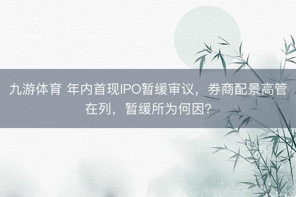 九游体育 年内首现IPO暂缓审议，券商配景高管在列，暂缓所为何因？