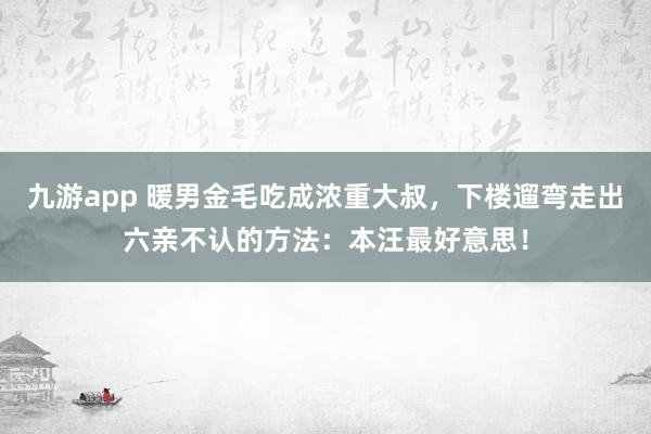 九游app 暖男金毛吃成浓重大叔，下楼遛弯走出六亲不认的方法：本汪最好意思！