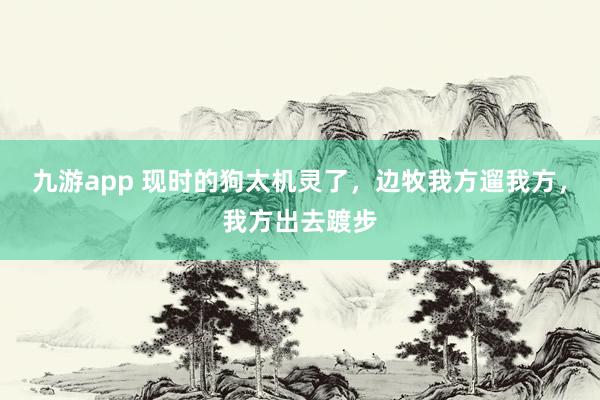 九游app 现时的狗太机灵了，边牧我方遛我方，我方出去踱步