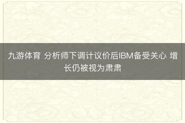 九游体育 分析师下调计议价后IBM备受关心 增长仍被视为肃肃